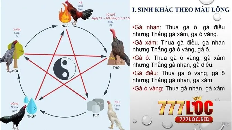 Màu sắc và ý nghĩa tương ứng