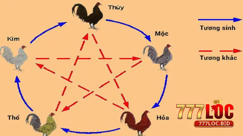 Ý nghĩa ngũ hành trong phong thủy